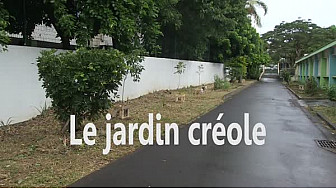Ateliers Web Reporter CINOR - Je plante, tu plantes, nous protégeons ! – CM2 Ecole Bouvet B - Saint-Denis